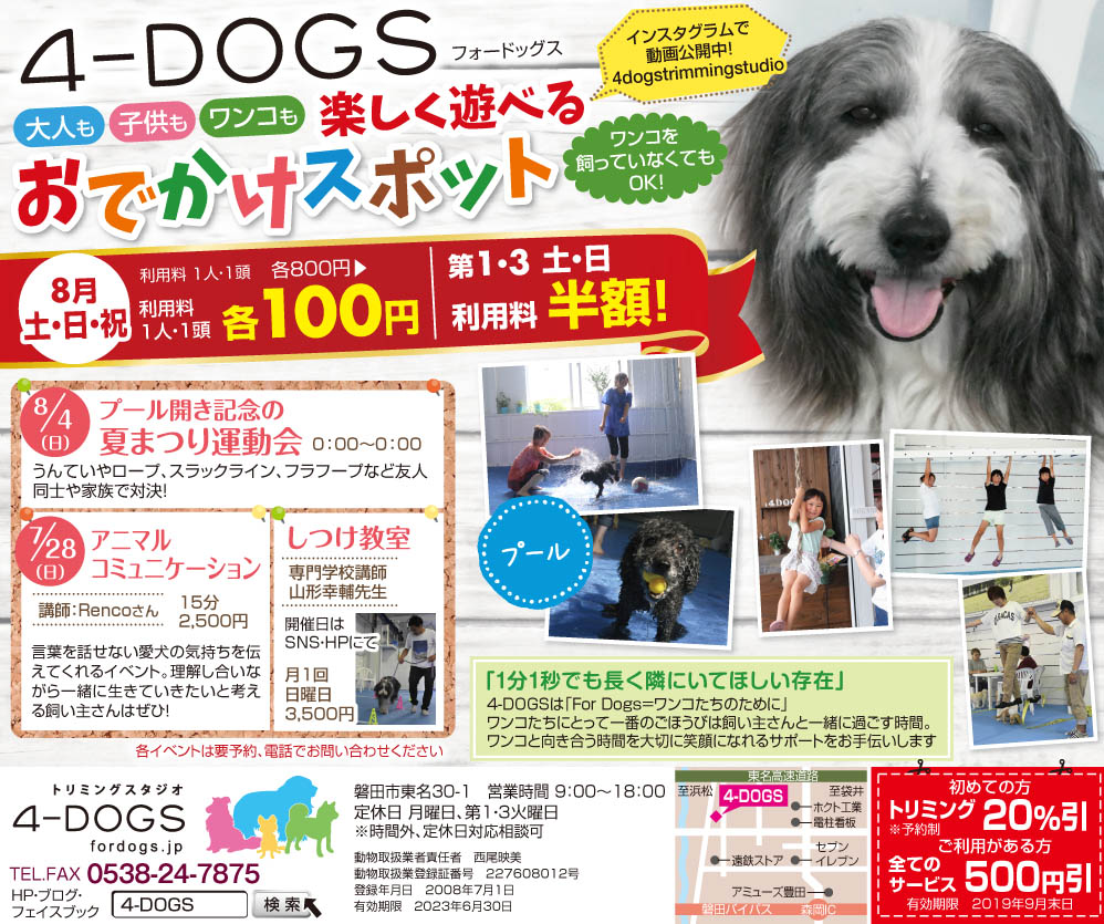 明日 7月27日暮らしタイムス掲載です 4 Dogs フォードッグス