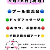   ⭐️9月16日(祝月)⭐️ 第3弾❣️プール交流会開催！       プール交流会の他に店頭、店内では •ドッグマッ…