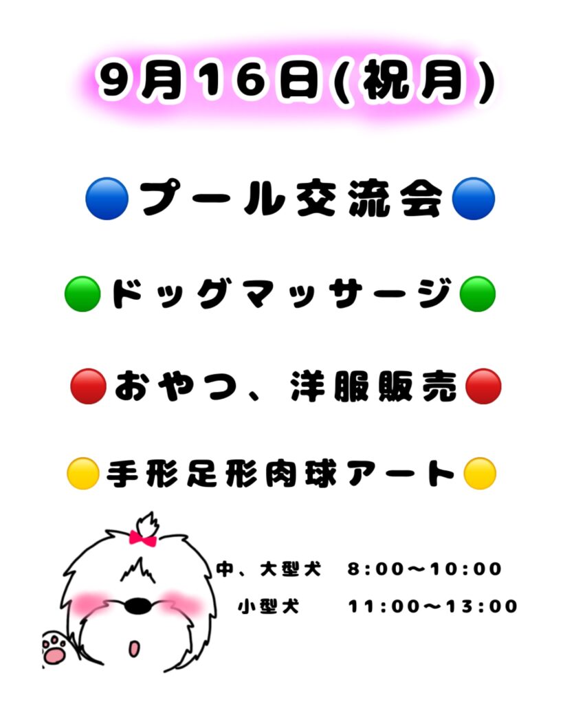 9月16日(祝月)第3弾❣️プール交流会