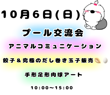 10月6日(日)今年ラスト⭐️プール交流会